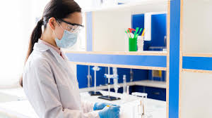 Imagen no encontrada